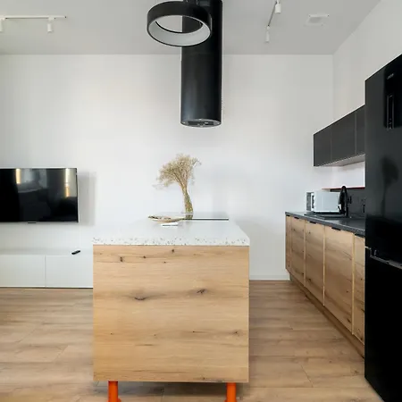 Klimatyzowane I Stylowe W Poznaniu Blisko Parku By Renters Poznan