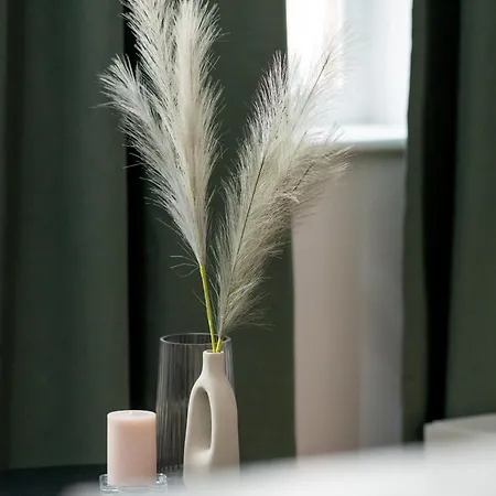 Apartment Klimatyzowane I Stylowe W Poznaniu Blisko Parku By Renters Poznan