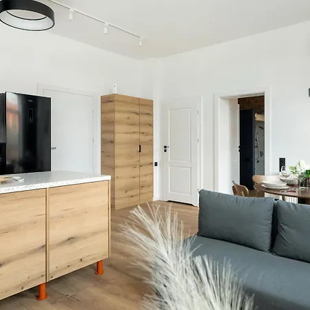 Klimatyzowane I Stylowe W Poznaniu Blisko Parku By Renters Apartment *