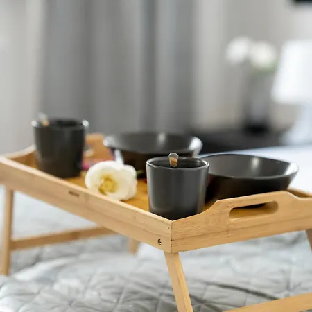 Klimatyzowane I Stylowe W Poznaniu Blisko Parku By Renters * Poznan