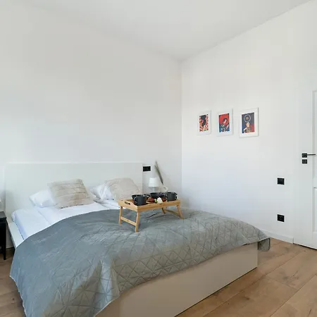 Klimatyzowane I Stylowe W Poznaniu Blisko Parku By Renters Apartment