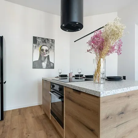 Klimatyzowane I Stylowe W Poznaniu Blisko Parku By Renters Poznan