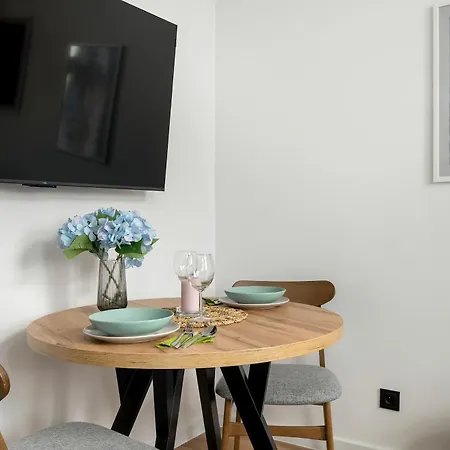 Klimatyzowane I Stylowe W Poznaniu Blisko Parku By Renters Appartement Poznań